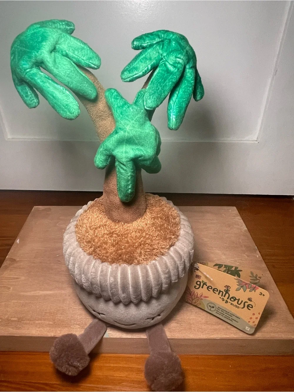 Greenhouse by Russ Money Tree Planter - Soft Green and Brown Cozy Décor
